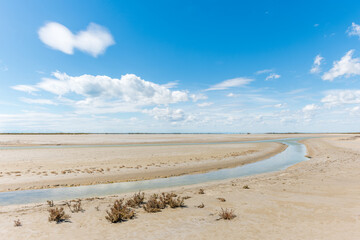Typical landscape in a lagoon of the Rhone delta in the Camargue.