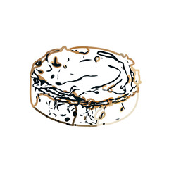 Pie color sketch with transparent background
