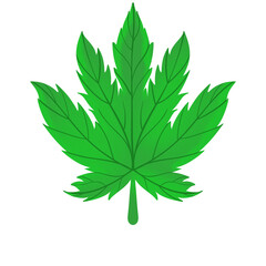 Marijuana leaf clipart Png transparent background