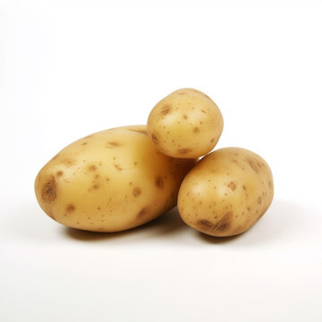 potato fresh vegetable isolated image on white background