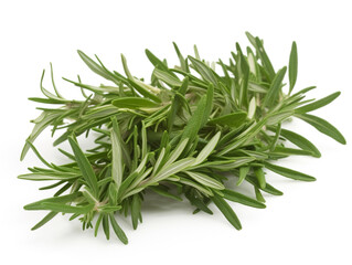 A bunch of rosemary on a white background