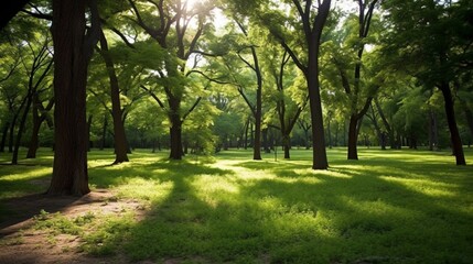 Fototapeta na wymiar Sunlit Nature Haven: Outdoor Scene with Trees Generative AI