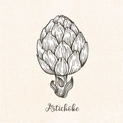 Vector graphic drawing of an artichoke