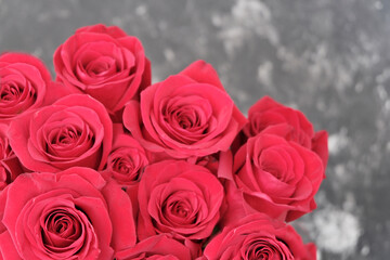 Red beautiful roses, bouquet. Congratulation, love concept. Floral background.