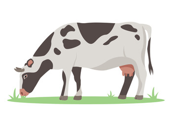 Eating cow icon. Cow Chewing grass. Female farm animal. Dairy cattle isolated on white background. Vector flat or cartoon illustration.
