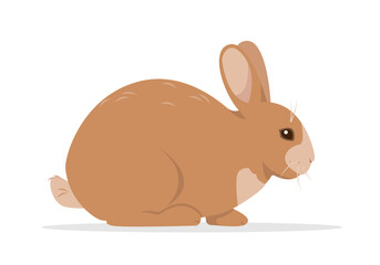 Domestic or wild rabbit or hare isolated on white background. Farm animal or pet icon. Vector illustration. - obrazy, fototapety, plakaty