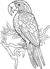 Parrot Line Art