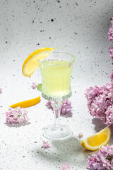 Traditional homemade lemon liqueur limoncello with blooming lilac on a light background