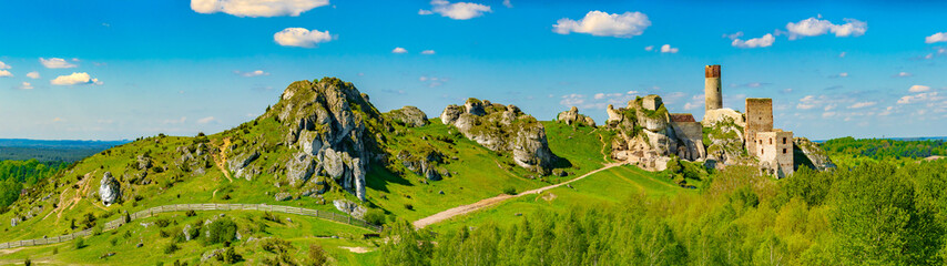castle ruins on the mountain in Olsztyn - obrazy, fototapety, plakaty