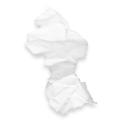 Country map of Guyana as a crumpled paper cut-out isolated on transparent background