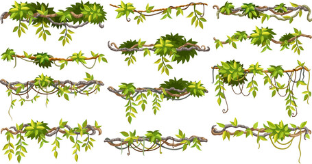 Liana branches, ivy and tropical leaves. Set of creeper jungle. Isolated cartoon vector hedera helix on white background.