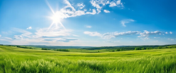 Fototapeta na wymiar Vibrant panoramic grassland landscape with bright sun and blue sky, generative AI