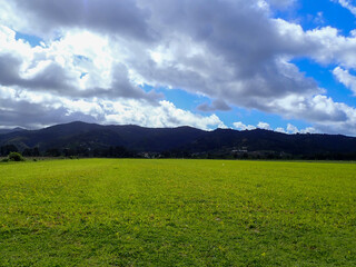A vast area of green grass in plains with mountains, blue skies and clouds in the background in the state of Jijel, Algeria, North Africa, Algeria nature in spring.