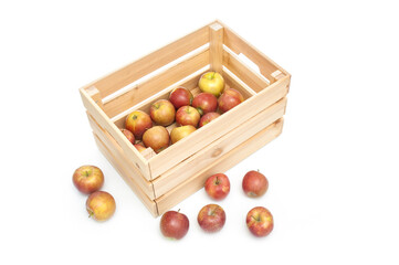 Fresh organic apples in wooden crate isolated on white background