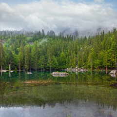 Small mountain forest lake in French Alps (misty summer morning).