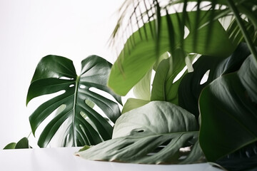 Fototapeta na wymiar Leaves or leaf wallpaper on white background vector illustration. Ai generated