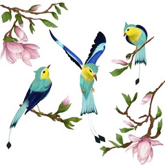 blue-yellow birds and flowers
