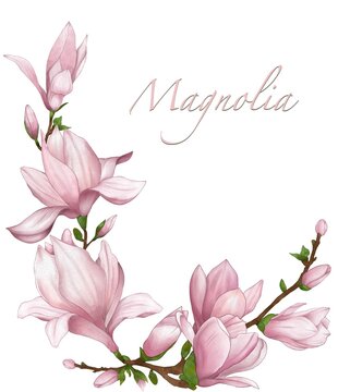 frame of magnolia flowers and leaves