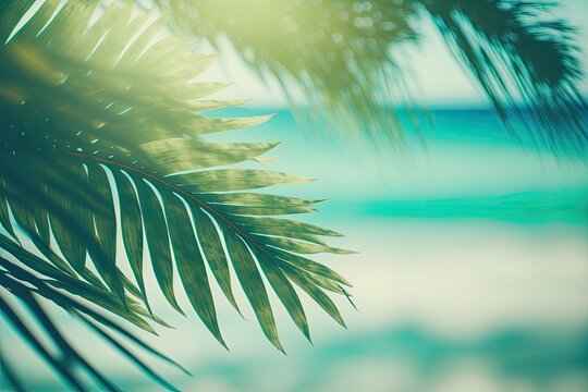 tropical palm tree with ocean view. Generative AI © 2rogan