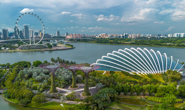 Aerial view of landscape of Gardens by the Bay in Singapore. Botanical garden with artificial trees and ferris wheel in horizon