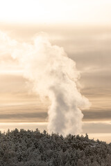 Steam rising from industry behind winter forest.