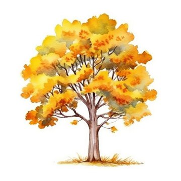 Watercolor tree illustration, green tree drawing isolated on white. Generative AI