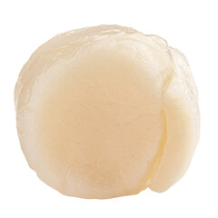 scallop isolated on white background, full depth of field