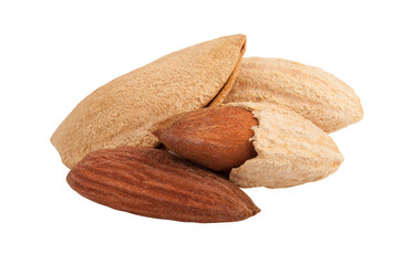 almond isolated on white background, full depth of field
