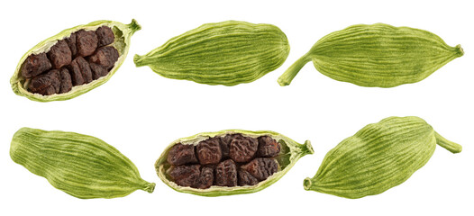 Cardamom isolated on white background, full depth of field