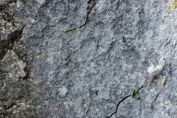 Grey stone wall in the Slovenian mountains close up. Stone texture and background