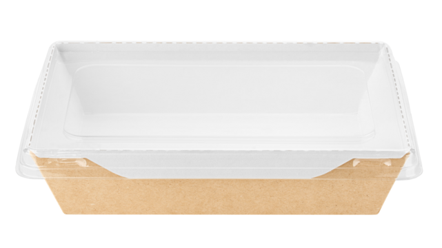 Eco paper tableware, food container, isolated on white background, full depth of field