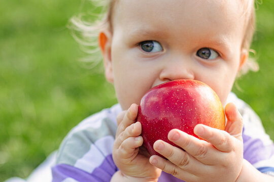 Cute little toddler boy eating ripe red apple outdoor