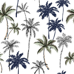 Tropical palm trees, white background. Seamless pattern. Vector illustration. Exotic nature. Summer beach design