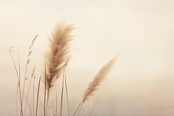 Minimalist background with pampas grass. Illustration AI Generative