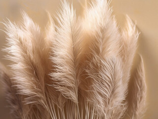 Background with dried pampas grass. AI generated image