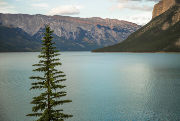 Mountain lake landscape panorama wihout people - 
coniferous forest - pine trees, scenic blue lake,...