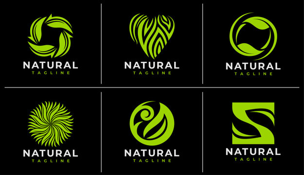 Minimal line plant leaf logo design template