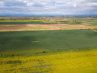 Fototapeta na wymiar Aerial view of Blooming rapeseed field, Bulgaria