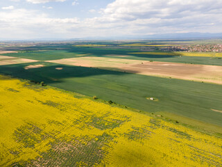 Obraz premium Aerial view of Blooming rapeseed field, Bulgaria