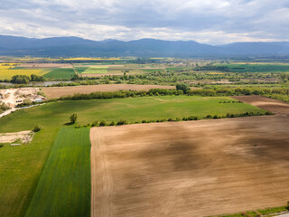 Aerial view of Blooming rapeseed field, Bulgaria