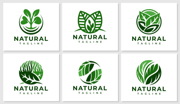 Abstract organic leaf logo design set