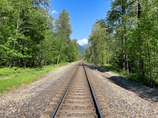 Train tracks going through woods and mountains - 604458297