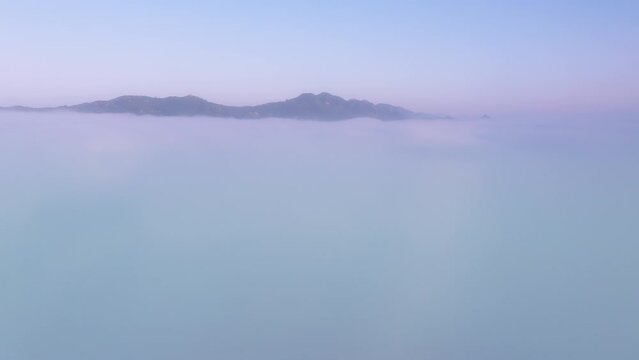 Drone raising above thick foggy cloud above beautiful ocean of blue clouds at sunrise with pink sky. drone flying above endless sea of clouds until horizon. Amazing nature landscape, 4K drone in sky