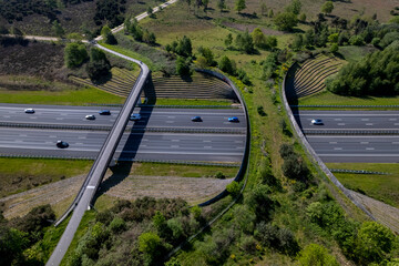 Forest aerial wildlife crossing forming a safe natural corridor bridge for animals to migrate...