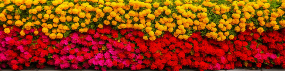 Obraz premium border - 96