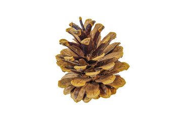 cones on a transparent isolated background. png