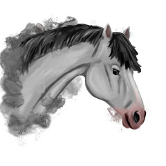 Watercolor horse drawing