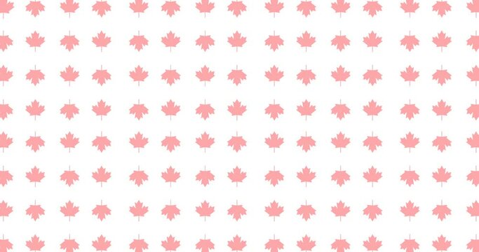 animation of seamless pattern of red Canada maple leaf background. Suitable for Canada country events.