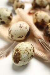 Obraz premium Speckled quail eggs and feathers on white table, closeup