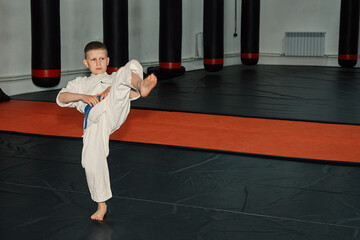 teenage boy performing kudo movements, taekwondo, martial arts